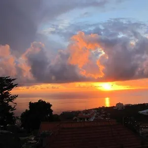  Hébergement de vacances Madeira House